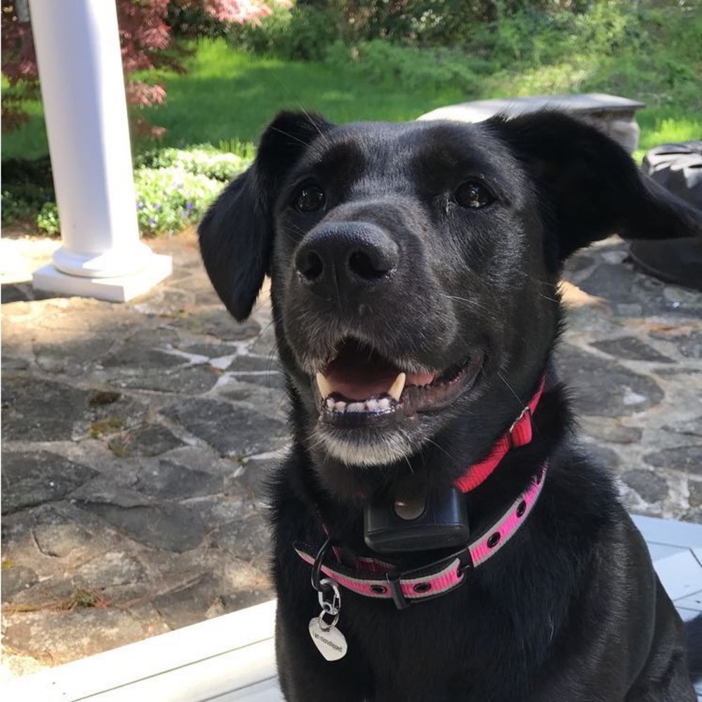 Meet your Posher, Myrsini